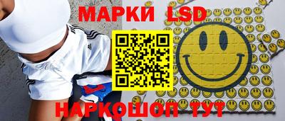 гашик Будённовск