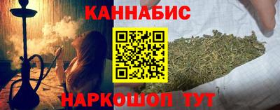 гашик Будённовск