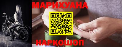 гашик Будённовск