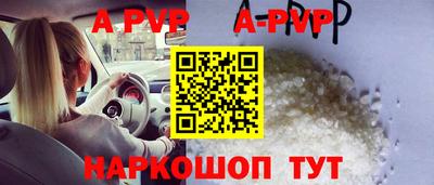гашик Будённовск