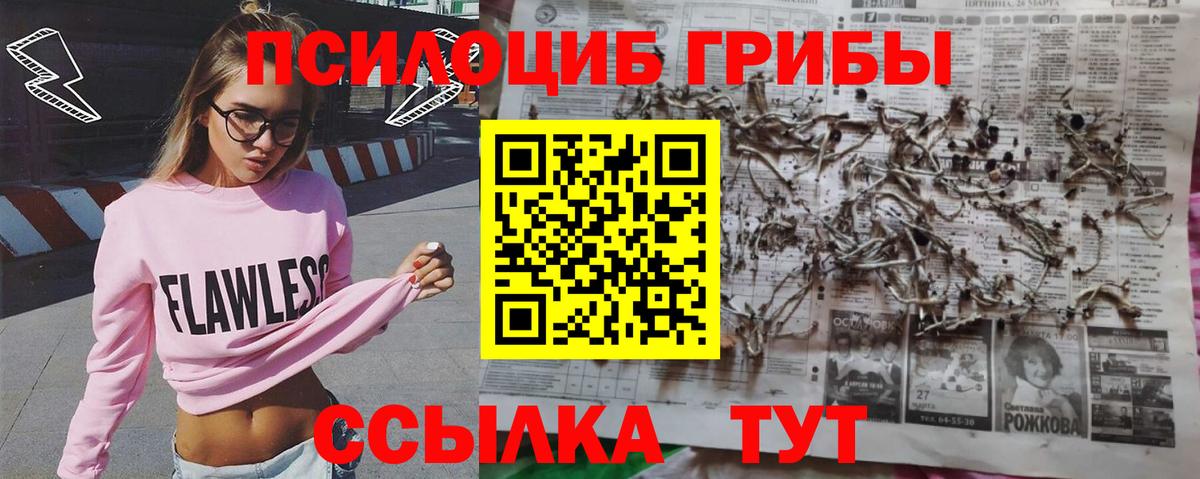 Галлюциногенные грибы Magic Shrooms  Псилоцибиновые грибы Cubensis  Фрязино  Вход с VPN 