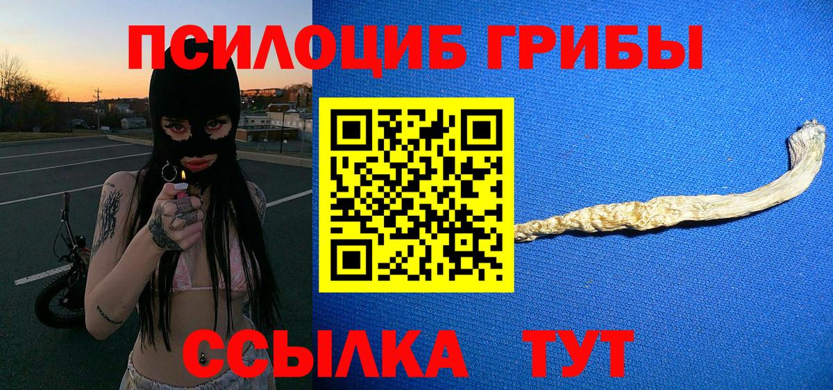 Псилоцибиновые грибы Psilocybe Фрязино